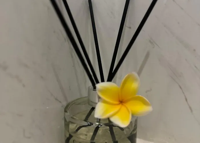 Bali Bird سمينياك