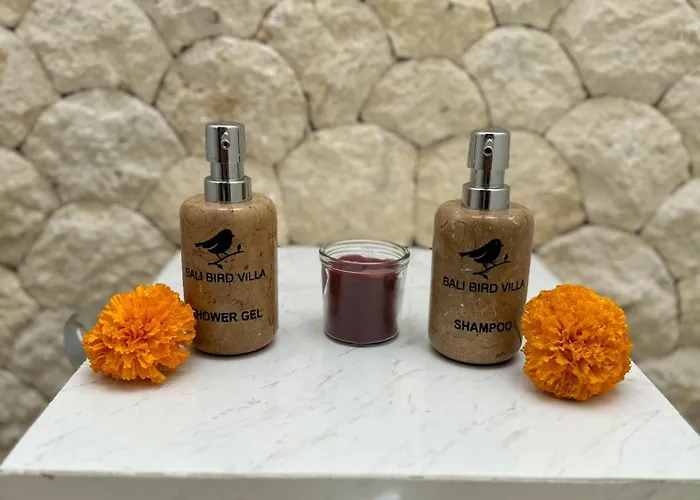 Bali Bird 4* سمينياك