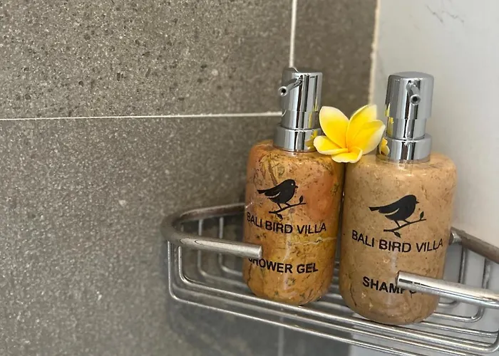 فندق Bali Bird 4*